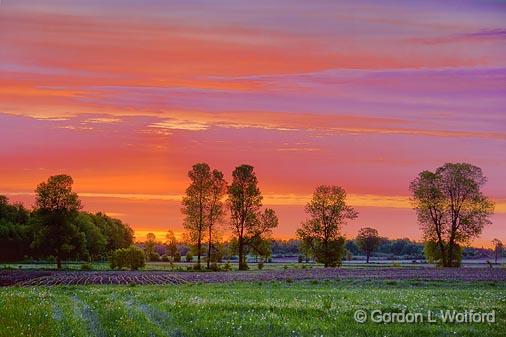 Sunrise Clouds_49330-1.jpg - Photographed near Carleton Place, Ontario, Canada.